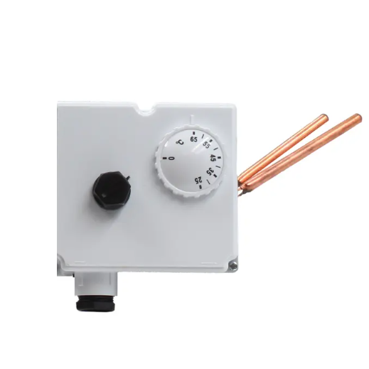 Dual Thermostat